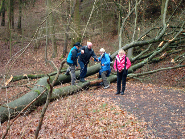 Wandern%20nach%20Balduinstein%2017.2.13%20003_3072x2304